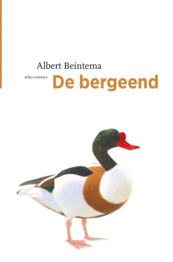 De bergeend