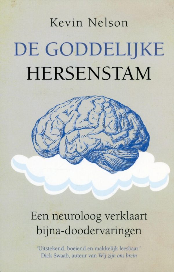 De goddelijke hersenstam