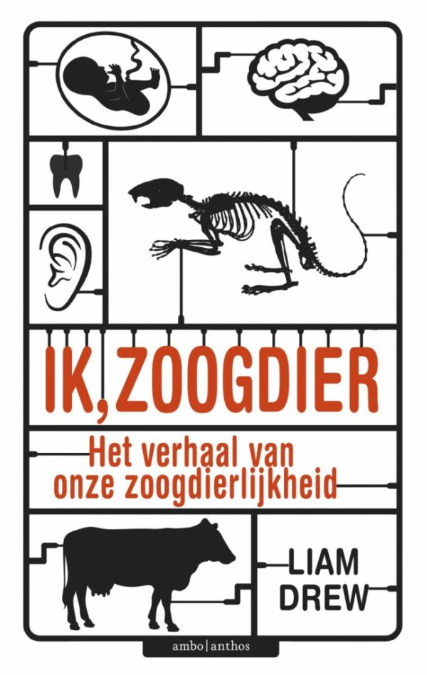 Ik, zoogdier