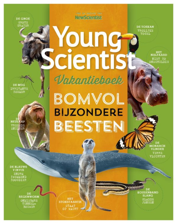 Young Scientist Vakantieboek Zomer 2020