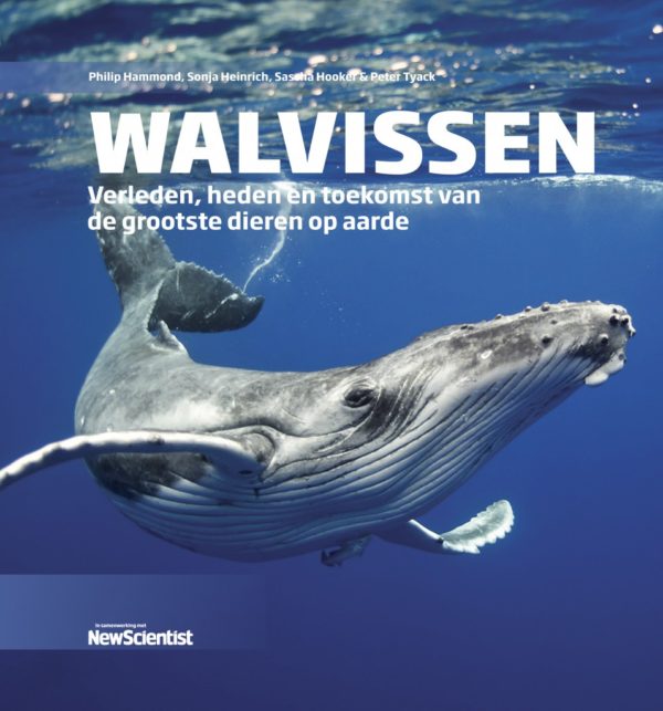 Walvissen