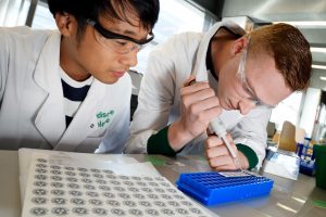 Vervaardiging van de biosensors door studenten. Beeld: Bart van Overbeeke 