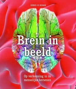 Meer lezen over hersenonderzoek?