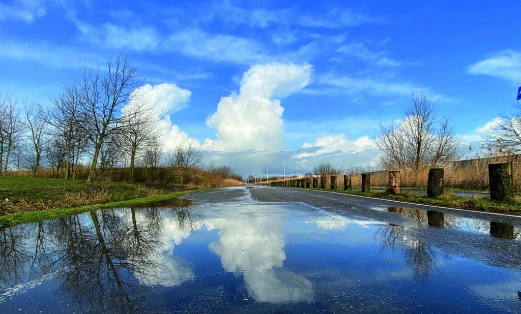 Cumulus congestus