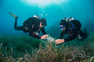 Christian Jogler en zijn collega's duiken regelmatig naar de zeebodem om de bacteriën te verzamelen die als nieuwe antibioticamachientjes kunnen dienen. 