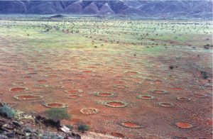 feeëncirkels-namibie