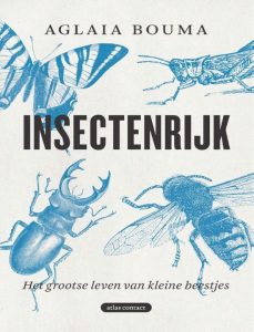 Insectenrijk