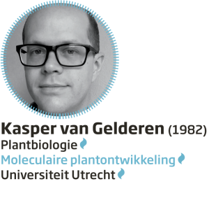 Kasper van Gelderen