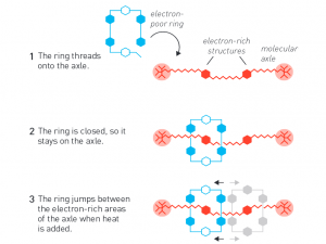 James Fraser Stoddart ontwikkelde een ring-om-as-structuur, waarbij de ring tussen blokkades kan bewegen. Beeld: Johan Jarnestad/The Royal Swedish Academy of Sciences