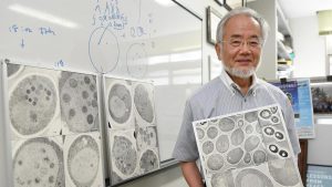 Nobelprijswinnaar Yoshinori Ohsumi poseert hier met afbeeldingen autofagerende cellen. Beeld: Akiko Matsushita/Kyodo News/Reuters