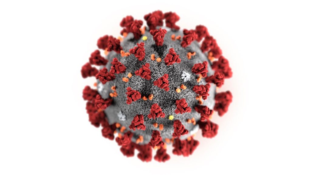 coronavirus