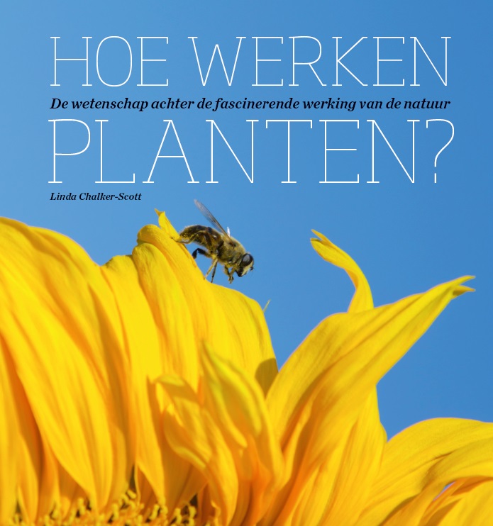 Hoe werken planten