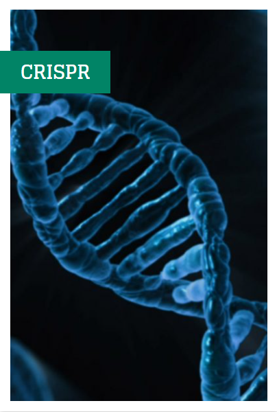 crispr dossier