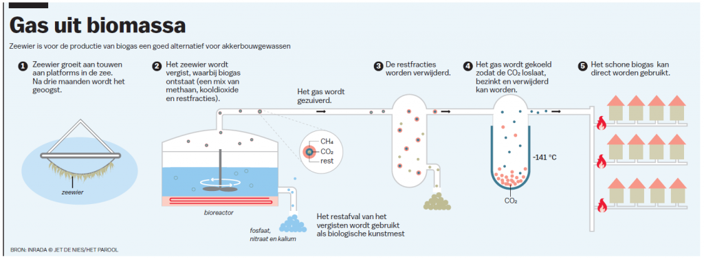 Gas uit biomassa