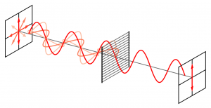 Voor het polarisatie filter trilt het licht in alle richtingen. Na het filter is het licht gepolariseerd in een richting. Beeld: Wikimedia Commons, Fffred